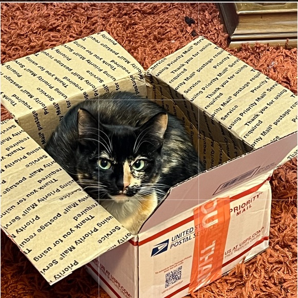 EUC SET💕 Dooney & Bourke pebble pink Ambler crossbody bag & matching card case - Picture 16 of 16